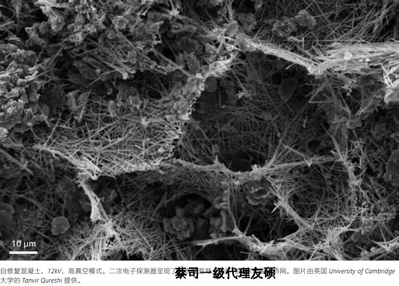 威海蔡司威海扫描电镜