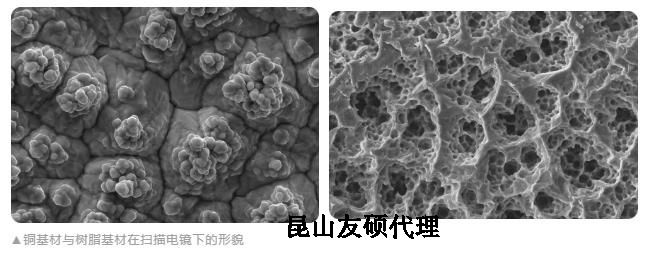 威海蔡司威海扫描电镜