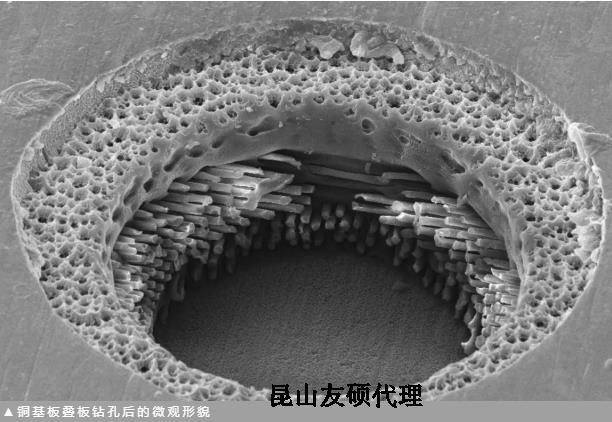 威海蔡司威海扫描电镜